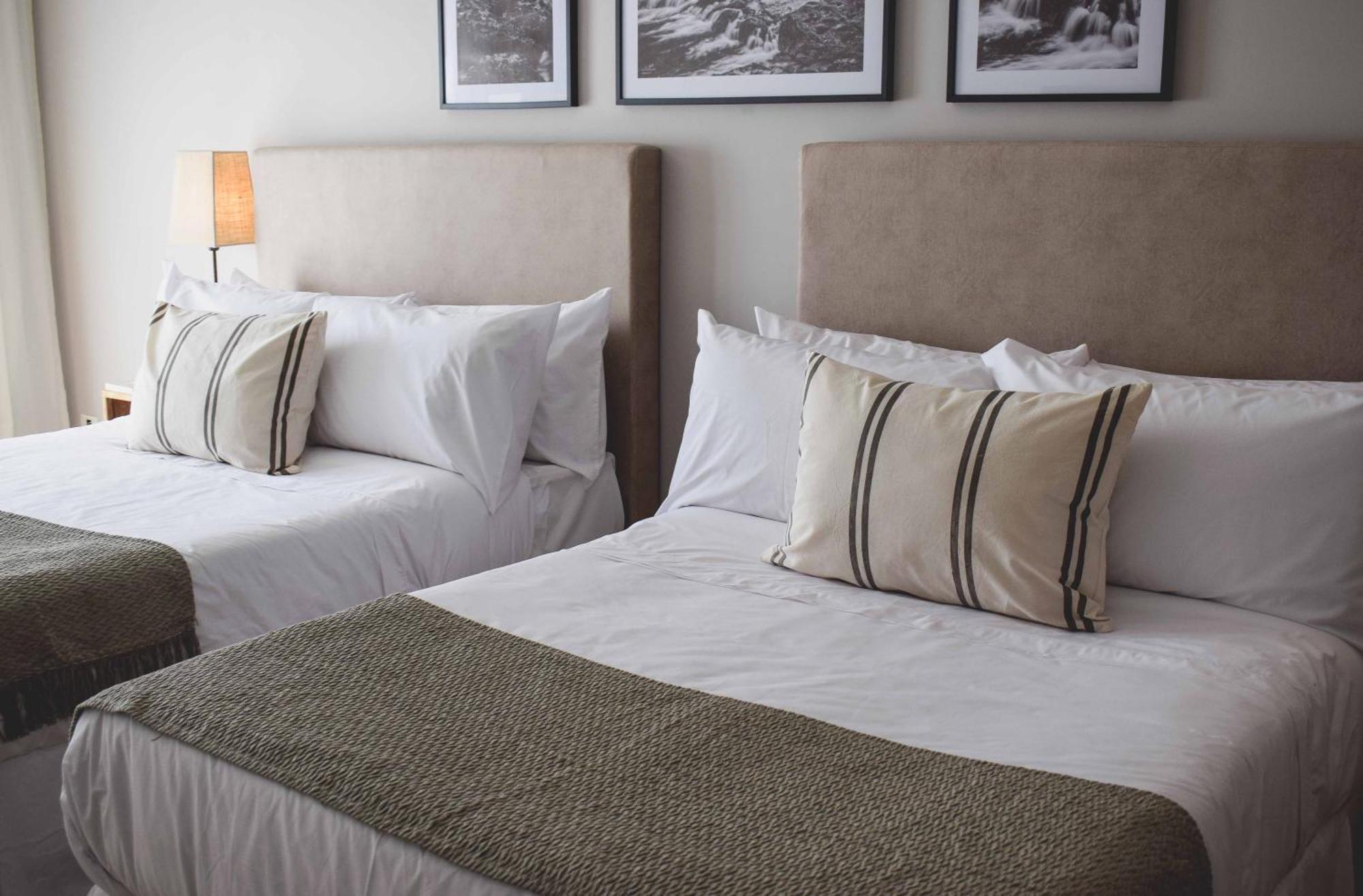 Cyan Soho Neuquen Hotel Eksteriør bilde